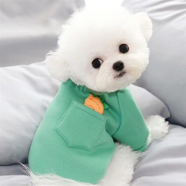 Carrot pets Sweater With Pocket in Cute Dogs